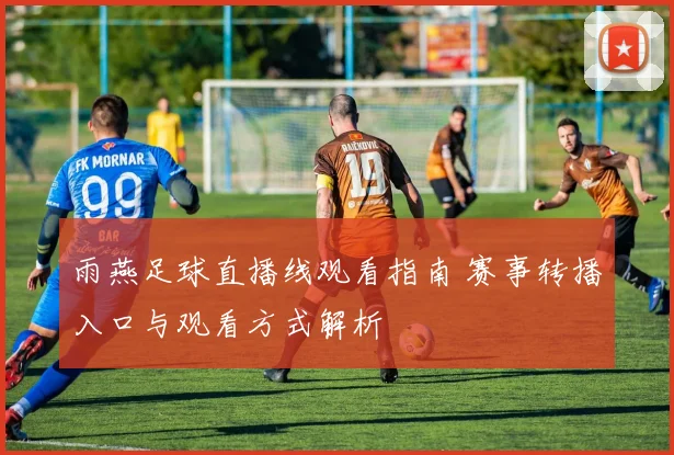 雨燕足球直播线观看指南 赛事转播入口与观看方式解析