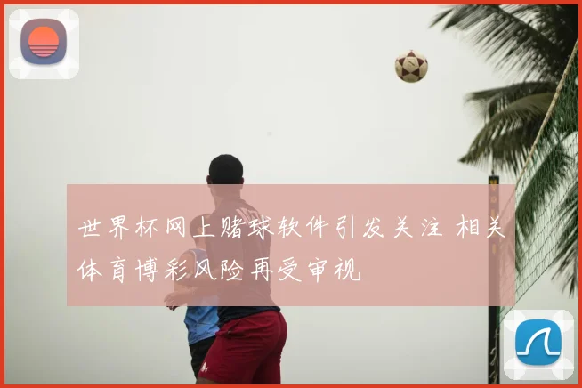 世界杯网上赌球软件引发关注 相关体育博彩风险再受审视