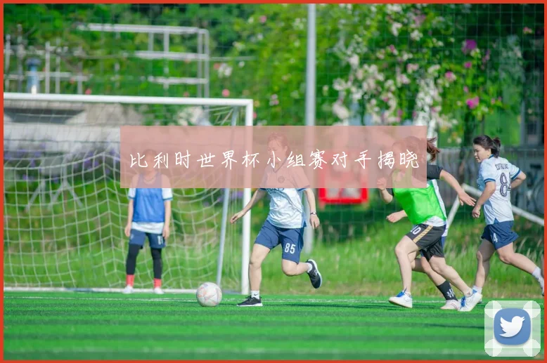 比利时世界杯小组赛对手揭晓