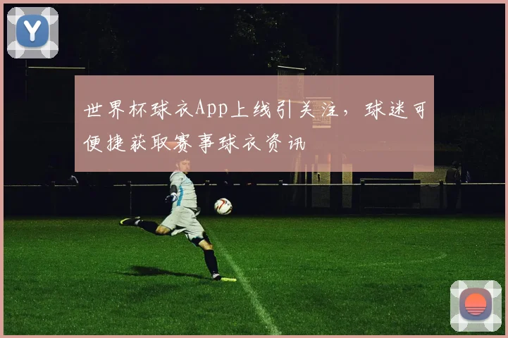 世界杯球衣App上线引关注，球迷可便捷获取赛事球衣资讯