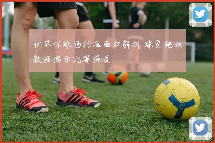 世界杯球场标准面积解析 球员跑动数据揭示比赛强度